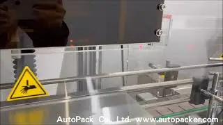 Desiccant Inserter/ Desiccant Intert Machine/ Automatic Desiccant Cutter/ DI450/ AutoPack Taiwan