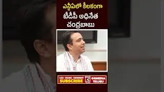 ఎన్డీఏలో కీలకంగా చంద్రబాబు | Chandrababu Key Roll In NDA Alliance | Tdp | Janasena | Bjp | Pm Modi