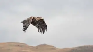 Mull Charters sept 24