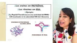ENZIMAS I: Generalidades | Dra. Glenny Mirabal | Bioquímica