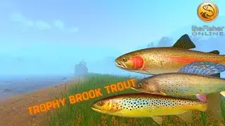 Trophy Brook Trout | Fly Fishing Poland | Fisher Online | Ep 72