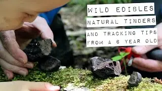 Wild Mushroom Hunt, Tracking Tips and Natural Tinders with Joshua