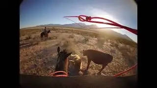 Range branding a slick bull!