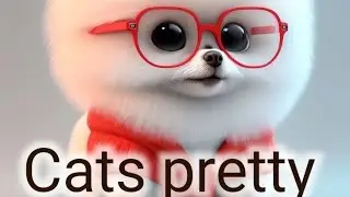 #Mighty cats777 #catscradlegame #catseye #catsmeow #catseyenebula #catseyechinesedrama #catvideos