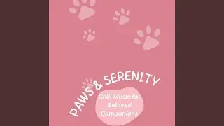 Soothing Bonds Ambient Music for Pets