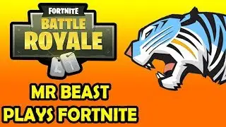 MrBeast Plays Fortnite for The First Time!  *Gone Wrong*