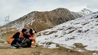 2nd Day of Kashmir Dairies (Sonmarg) #kashmirvlog #travel #happiness #sonmarg #heaven #tranding 