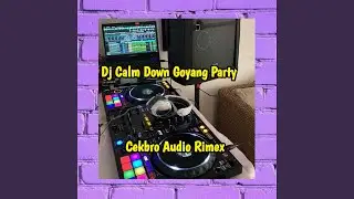 Dj Calm Down Goyang Party