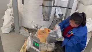 Packaging of Black Pebbles for Export | Pebble Factory in Action