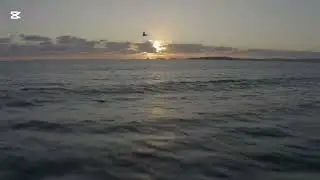 Relaxing Ocean View with a Calming Quote | Peaceful Sea Sounds for Stress Relief