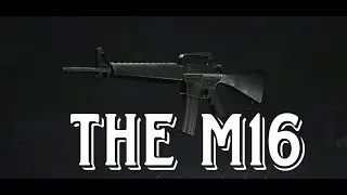 Why I love the m16 in arena breakout