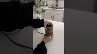 Herb Grinder Electric Spice Grinder Kitchen Must from Amazon