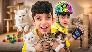 Jason e Alex giocano con i gatti e i gattini adottati | Jason Vlogs Italia - Compilation