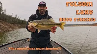 Winter Time Spotted Bass Fishing in the Rain II Folsom Lake