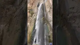 One of the highest rivers in Iran #natural #jungle #iran #tree #water #asmr