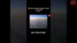 Unexplained Videos Caught On Camera: Sky Creature #Shorts