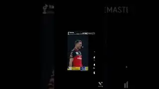 dale stayne Rcb fan