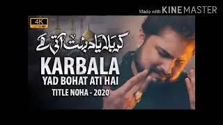 Nohay 2020 - Karbala Yaad Bohat Aati Hai | Syed Raza Abbas Zaidi | New Noha 2020 /1442 - Karbala