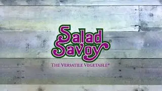 Salad Savoy Veggie Line-Up - The Produce Moms
