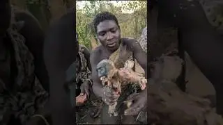 Ekstrem!  tradisi Suku Hadzabe Bertahan Hidup dengan Tikus dan Daging Monyet