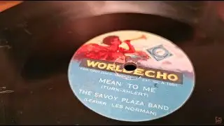 Mean To Me ~ The Savoy Plaza Band  / Cecil Norman ~ A1001 World Echo 78rpm 1929 Cardboard & Laminate