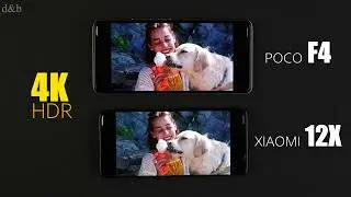 Poco F4 VS Xiaomi 12X Screen & Speaker Test