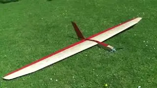 Flug der Birkengans