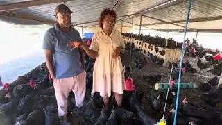 Remarkable successful chicken farmers on Nhemachickens contract farming