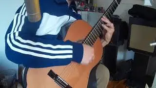 SERGIO ASSAD-FAREWELL