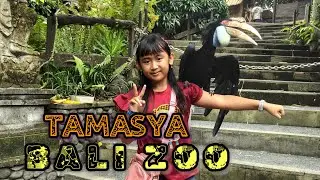 Tamasya ke BALI ZOO bersama keluarga.