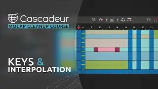Working with Keys, Tracks and Interpolation | Mocap Cleanup Course in Cascadeur