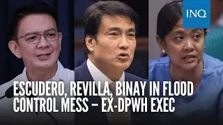 Escudero, Revilla, Binay in flood control mess &ndash; ex-DPWH exec