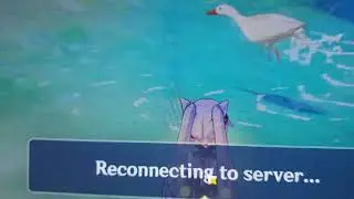 This Duck is Broken [Genshin Impact]