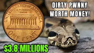 If You Have This Penny, You&rsquo;re RICH!  (RARE U.S. Coins List)