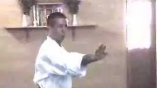 Shito Ryu Kyohan (Pedro Pinar)