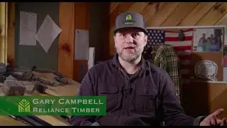 Reliance Timber: How to Select a Stain for Your Home