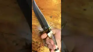 Sweet Stag Bowie Knife! #cutlery #blade #edc ##bowieknife #fixedblade #collectibles