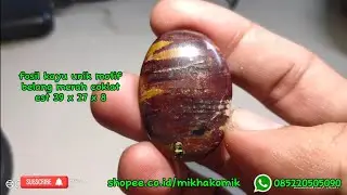 Unik Fosil kayu belang 3 warna=150rb#akik #batuakik #indonesia #fosil #fosilkayu #batuakikindonesia
