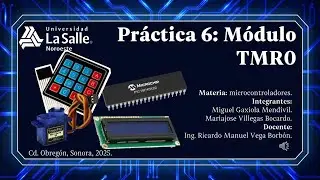 Pr&aacute;ctica 6: M&oacute;dulo TMR0