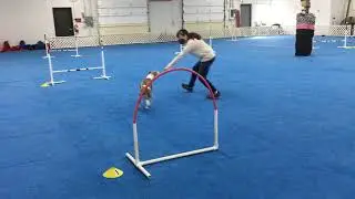 NADAC 