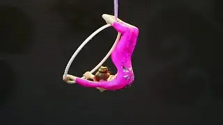 AES.aerial - Sofia Polozkova