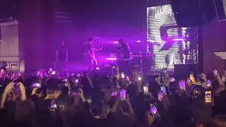 9mice - LAMBO live