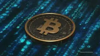 4K Bitcoin Loop Half Hour - Screensaver
