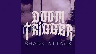 Shark Attack