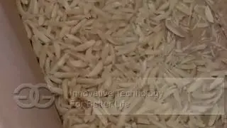 Peanut Strip Cutting Machine|Almond Slivering Cutter|Pistachio Cutter Machine