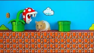 Super Mario Hamster Bros.