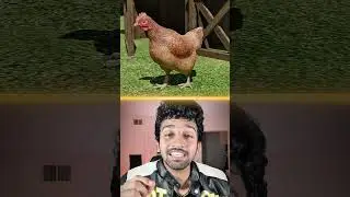 Chicken or Egg Problem