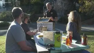Beekeeping helps Georgia veterans cope with PTSD