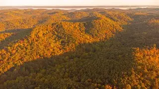 220 ACRES WITH A CABIN IN SOUTHERN OHIO - LAND FOR SALE
