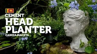 Head Planter Cement Pot, Made for the order